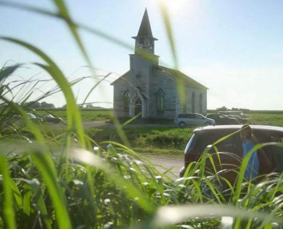 in the tall grass 1 Vo vysokej tráve – šialená metafora života